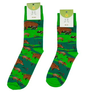 Skarpetki Gdyńskie Dziki